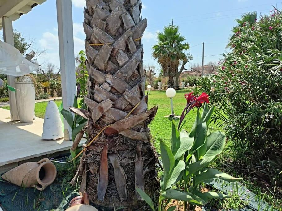 לבראנו Villa Delle Stelle Con Piscina מראה חיצוני תמונה